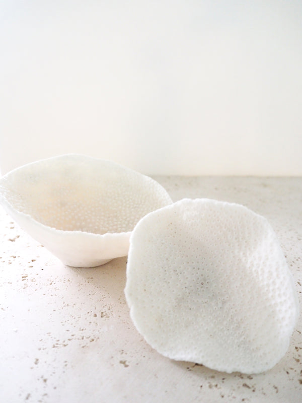 Premium Decor Dish Coral - Turbinaria